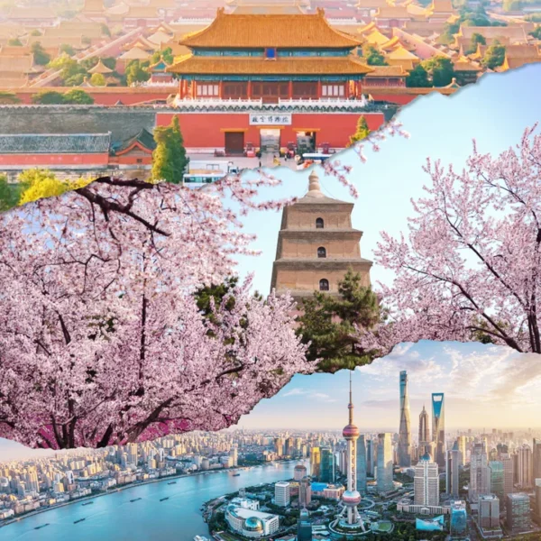 SHANGHAI TOUR: EXPLORE CHINA’S CULTURAL GEMS